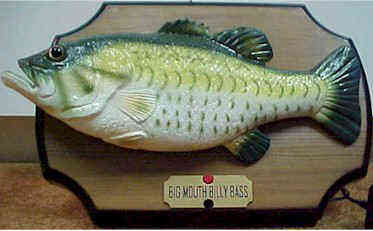 picture of fish