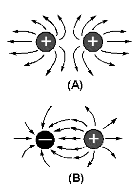 image38.png
