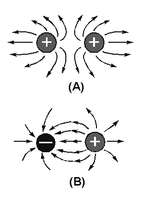 image8.png