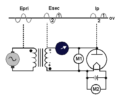 image6.png