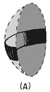 image238.png