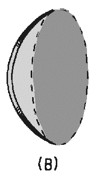 image239.png