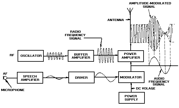 image11.png