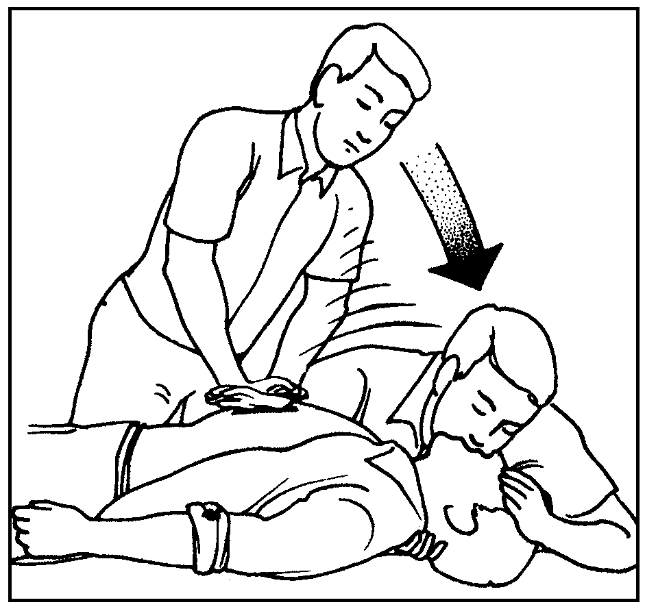 image3.png