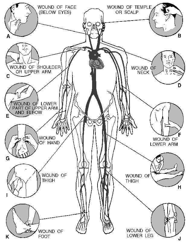 image5.png