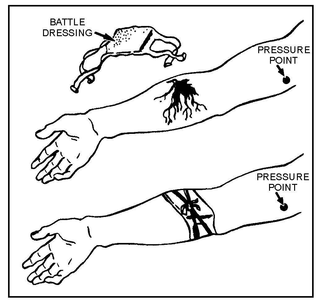 image6.png