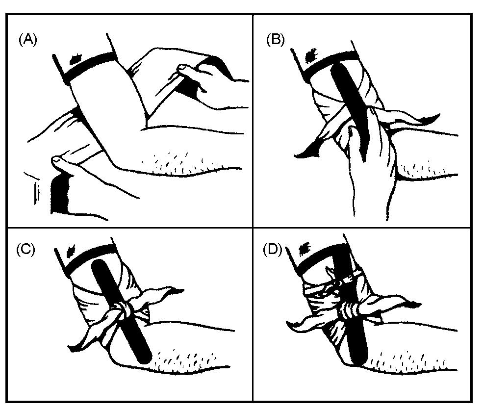 image7.png
