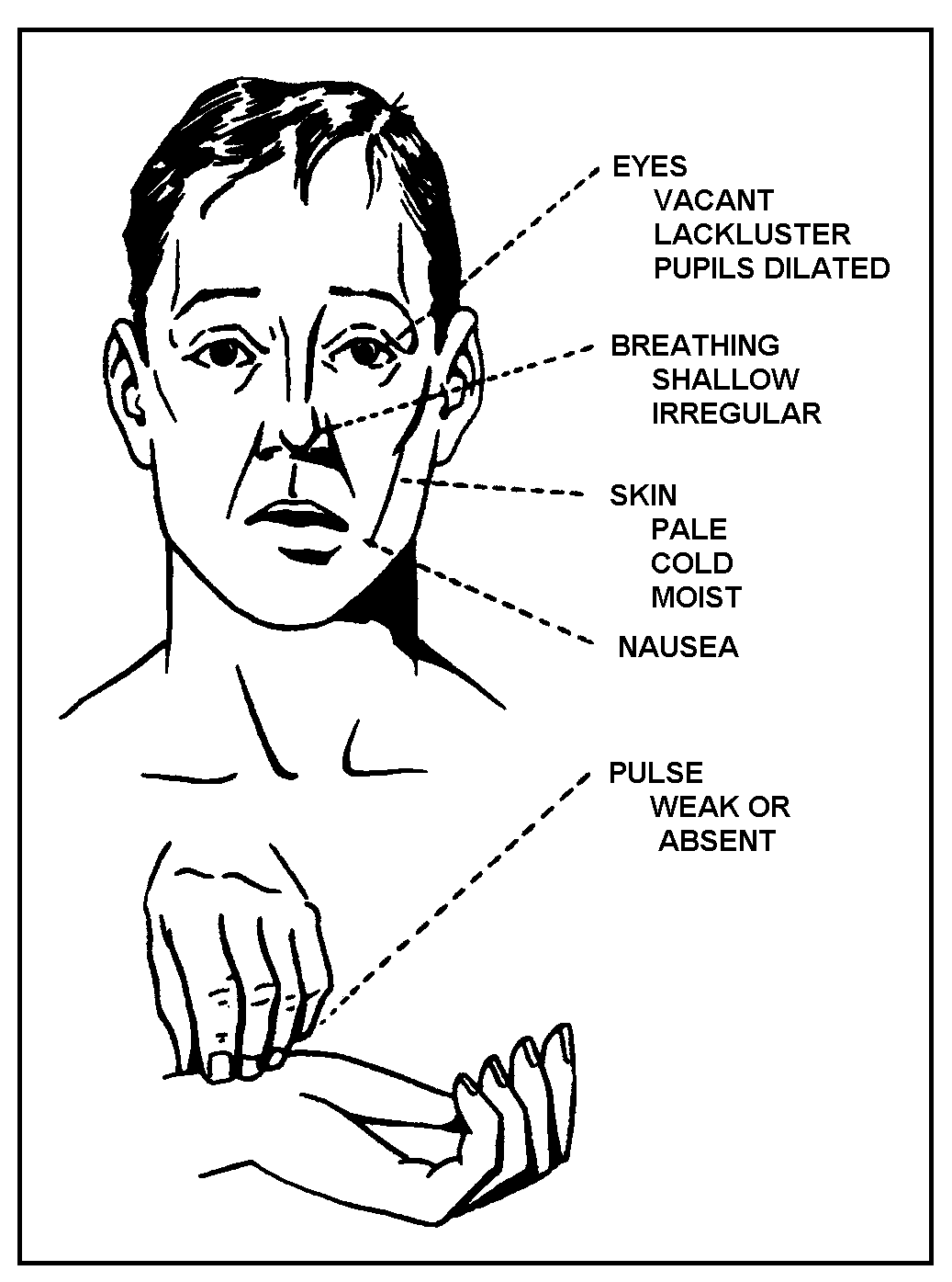 image8.png