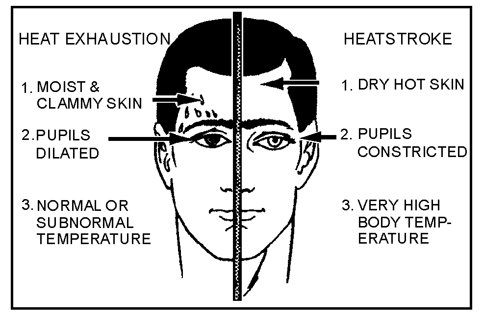 image9.png