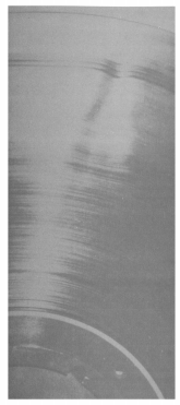 image10.png