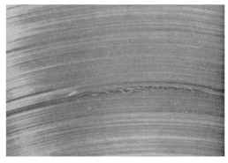 image8.png