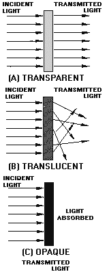image5.png