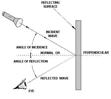image6.png